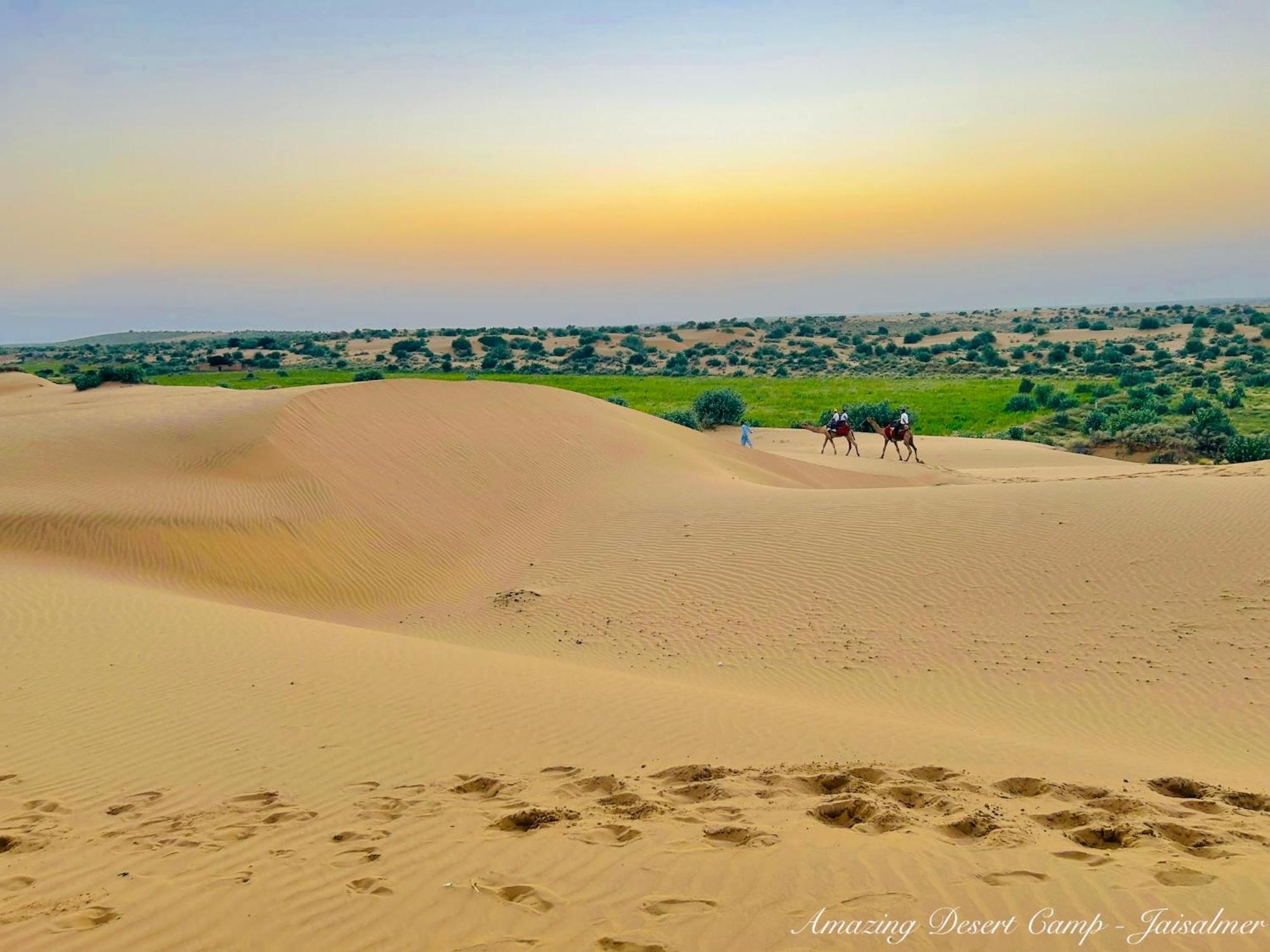 Amazing Desert Camp Dzsaiszalmer Kültér fotó